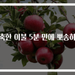 축축한 이불 5분 만에 뽀송하게