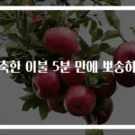 축축한 이불 5분 만에 뽀송하게