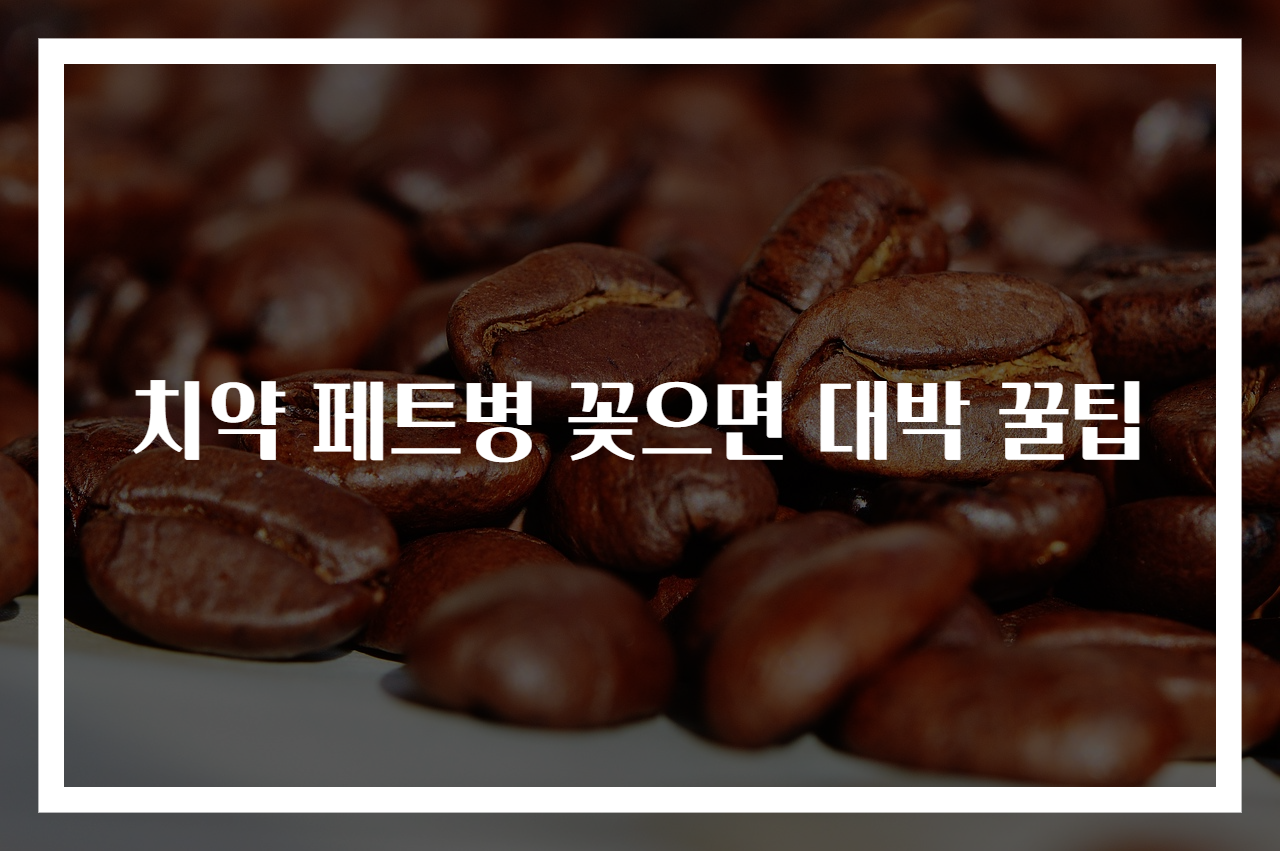 치약 페트병 꽂으면 대박 꿀팁