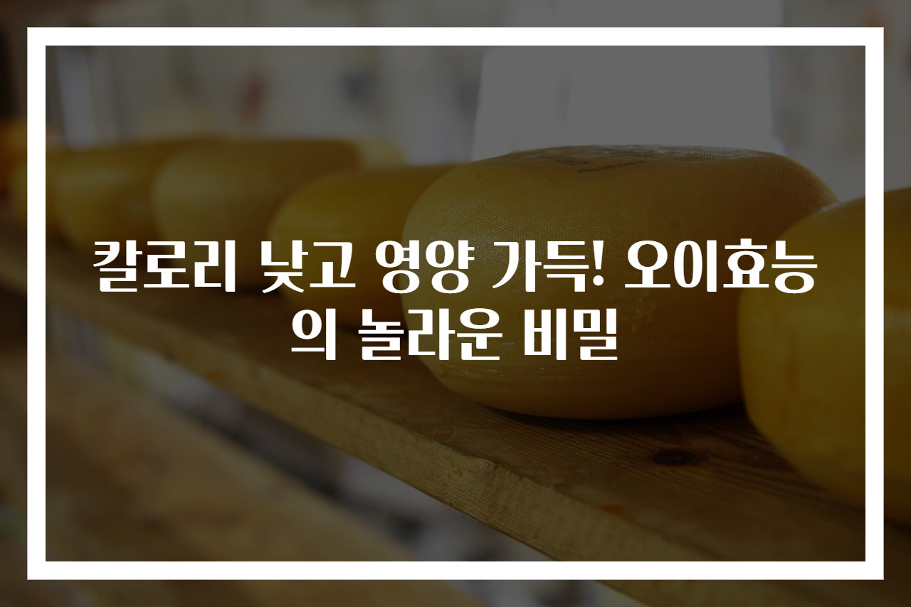 칼로리 낮고 영양 가득! 오이효능의 놀라운 비밀
