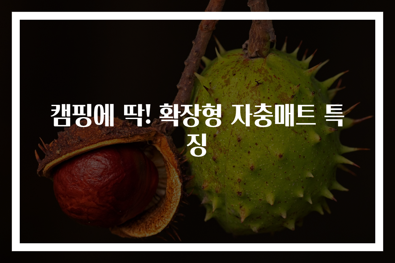 캠핑에 딱! 확장형 자충매트 특징