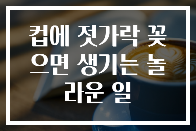 컵에 젓가락 꽂으면 생기는 놀라운 일