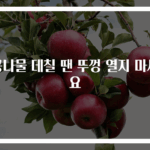 콩나물 데칠 땐 뚜껑 열지 마세요