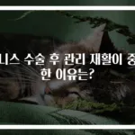 테니스 수술 후 관리 재활이 중요한 이유는?