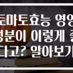 토마토효능 영양성분이 이렇게 좋다고? 알아보기