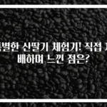 특별한 산딸기 체험기! 직접 재배하며 느낀 점은?