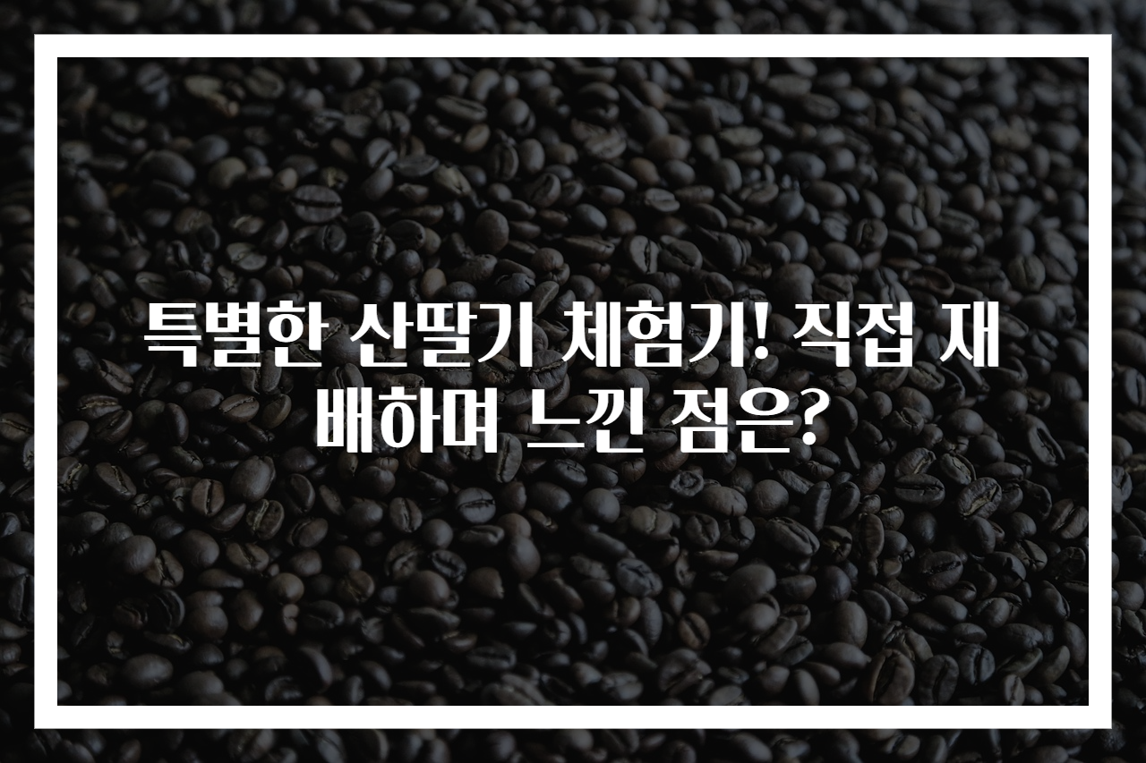 특별한 산딸기 체험기! 직접 재배하며 느낀 점은?