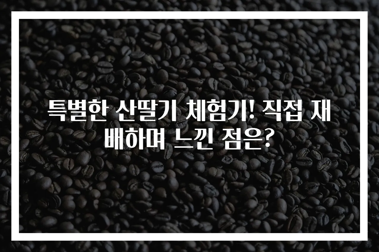 특별한 산딸기 체험기! 직접 재배하며 느낀 점은?