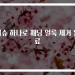 티슈 하나로 패딩 얼룩 제거 완료