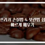 파프리카 손질법 & 보관법 쉽고 빠르게 배우기