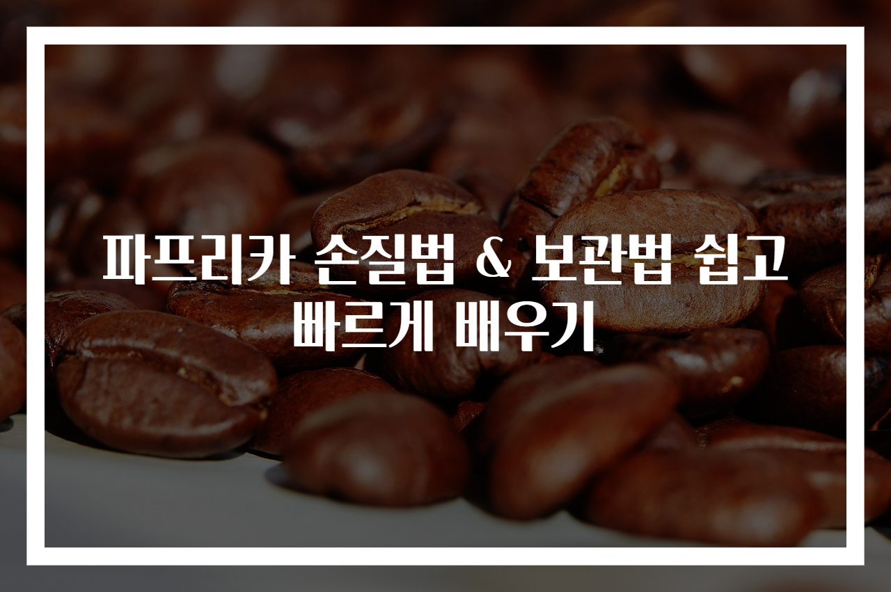 파프리카 손질법 & 보관법 쉽고 빠르게 배우기
