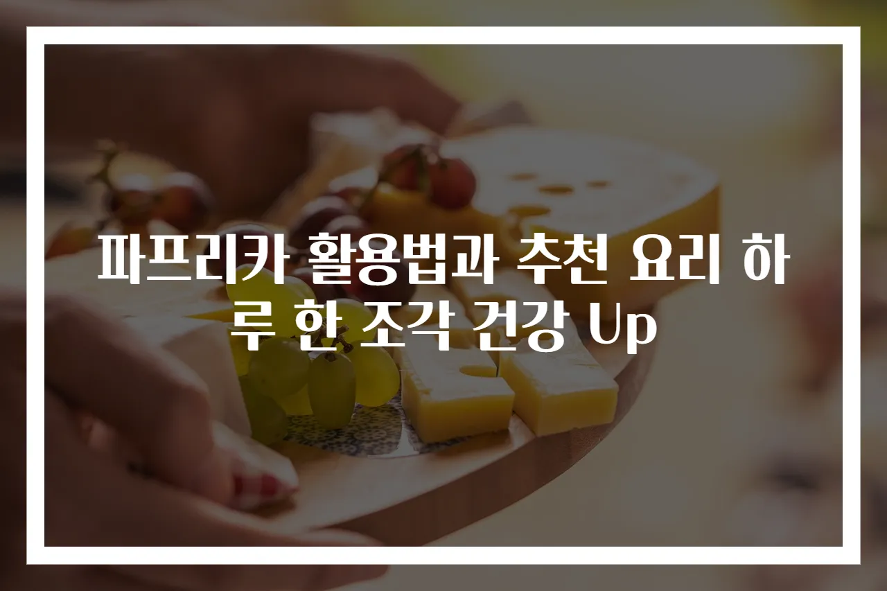 파프리카 활용법과 추천 요리 하루 한 조각 건강 Up
