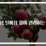 패딩 털빠짐 없이 관리하는 법