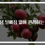 패딩 털빠짐 없이 관리하는 법
