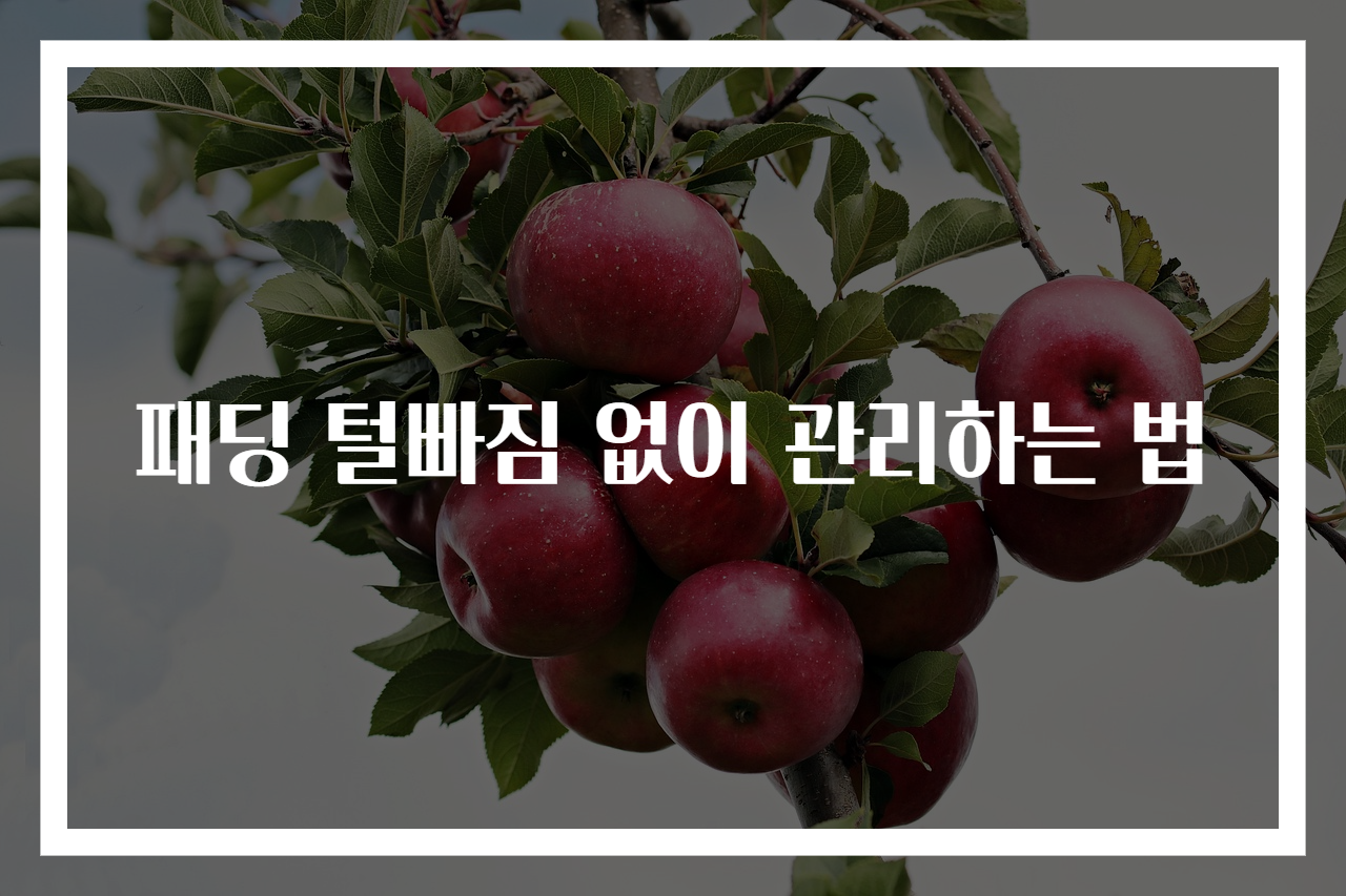 패딩 털빠짐 없이 관리하는 법