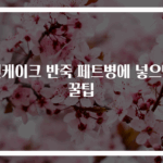 팬케이크 반죽 페트병에 넣으면 꿀팁