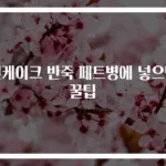 팬케이크 반죽 페트병에 넣으면 꿀팁