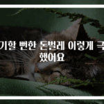 포기할 뻔한 돈벌레 이렇게 극복했어요