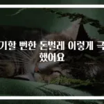 포기할 뻔한 돈벌레 이렇게 극복했어요
