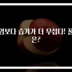 폭염보다 습기가 더 무섭다! 꿀팁은?