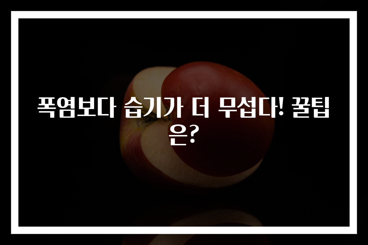 폭염보다 습기가 더 무섭다! 꿀팁은?
