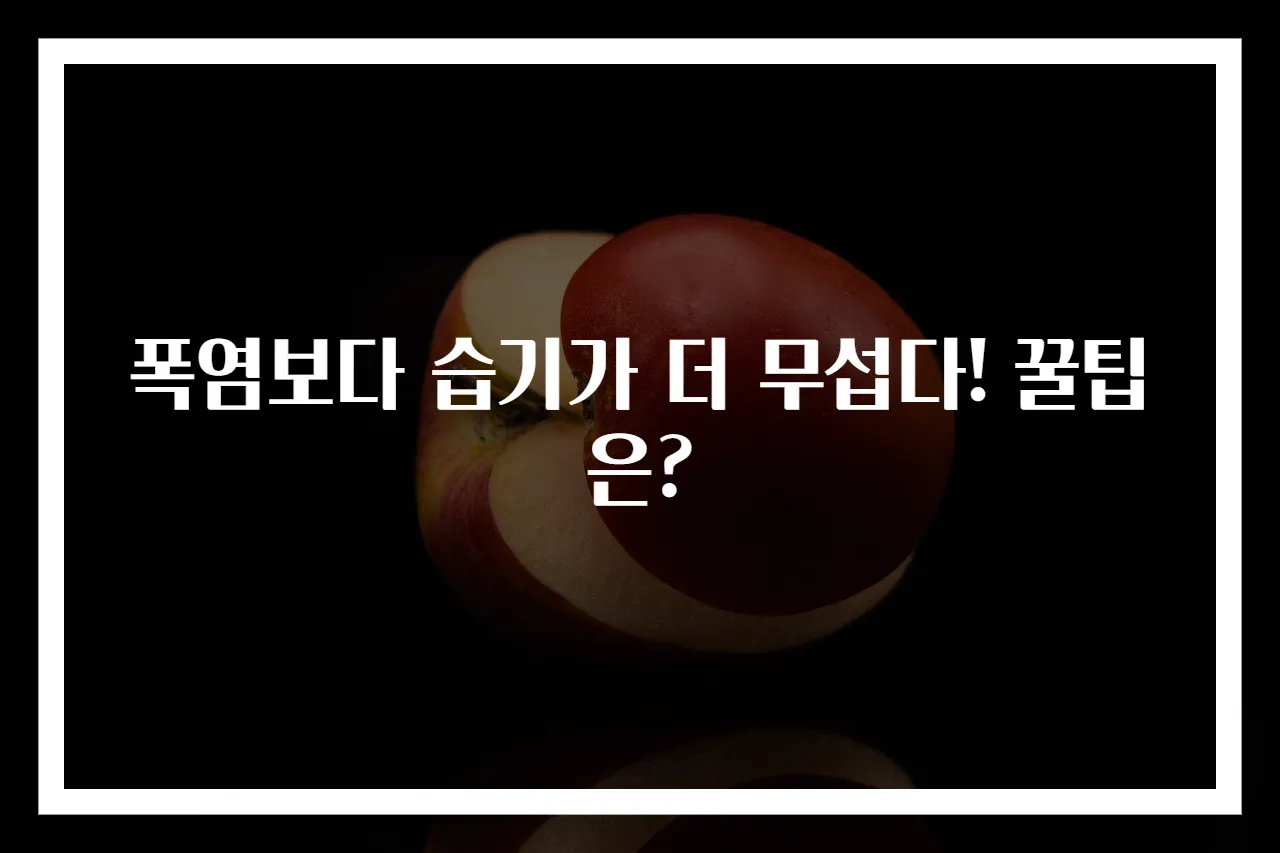 폭염보다 습기가 더 무섭다! 꿀팁은?