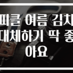 피클 여름 김치 대체하기 딱 좋아요