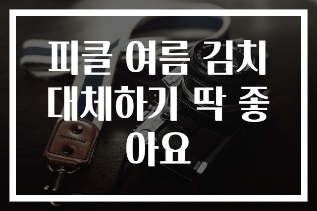 피클 여름 김치 대체하기 딱 좋아요