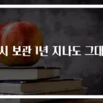 홍시 보관 1년 지나도 그대로