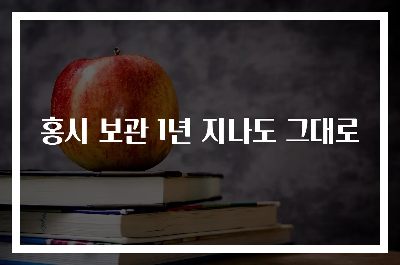 홍시 보관 1년 지나도 그대로
