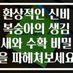 환상적인 신비복숭아의 생김새와 수확 비밀을 파헤쳐보세요