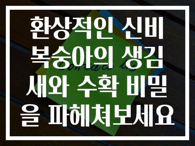환상적인 신비복숭아의 생김새와 수확 비밀을 파헤쳐보세요