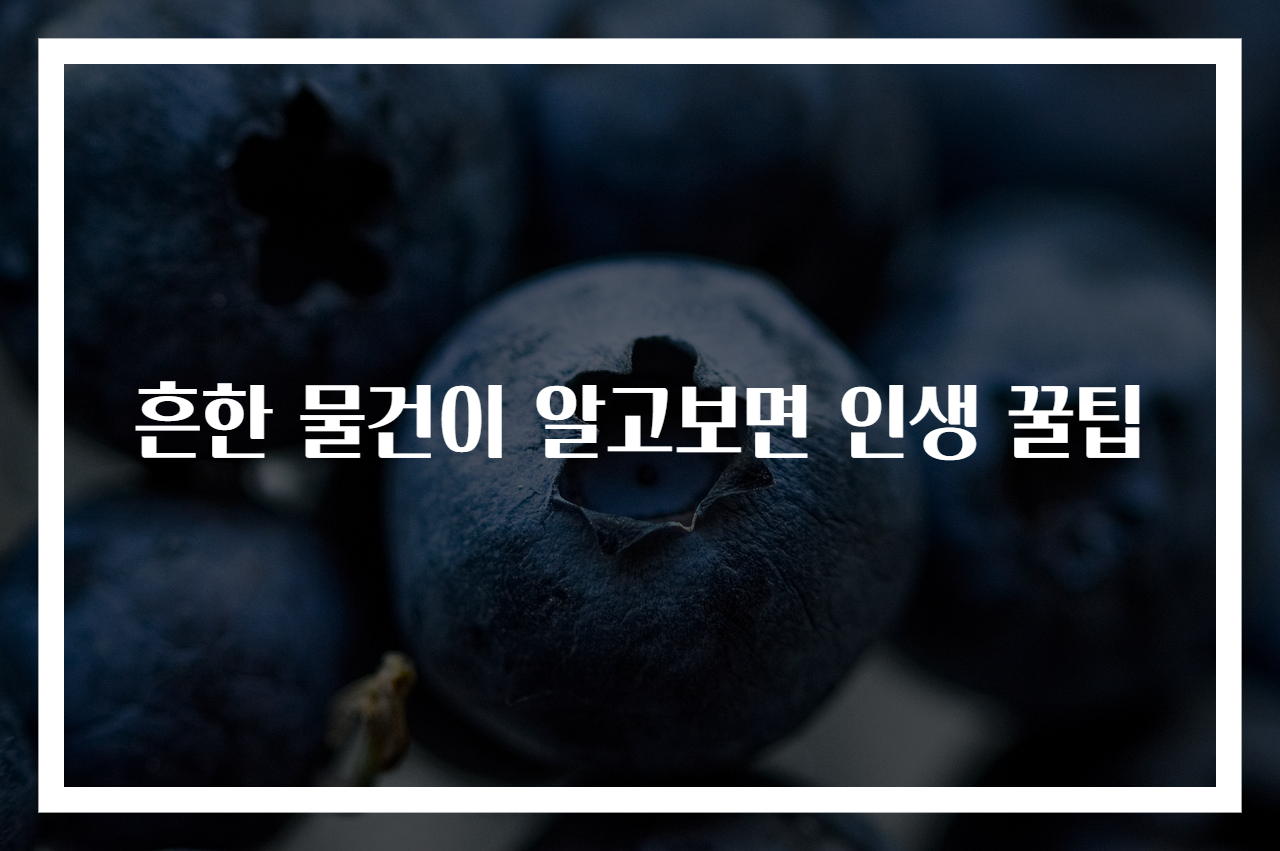 흔한 물건이 알고보면 인생 꿀팁