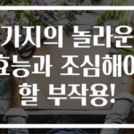 가지의 놀라운 효능과 조심해야 할 부작용!