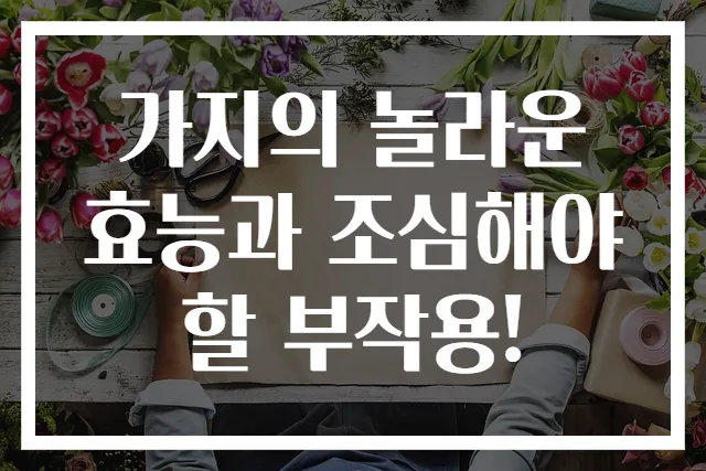 가지의 놀라운 효능과 조심해야 할 부작용!