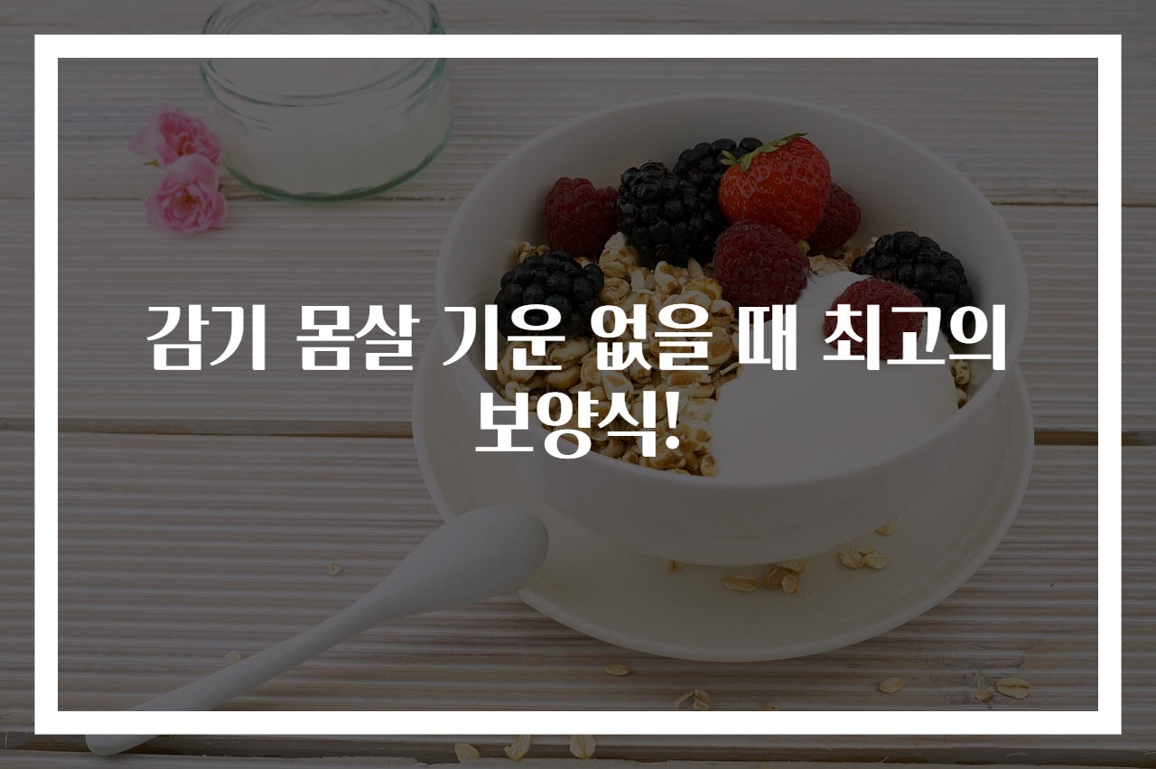 감기 몸살 기운 없을 때 최고의 보양식!