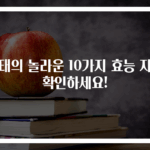 감태의 놀라운 10가지 효능 지금 확인하세요!