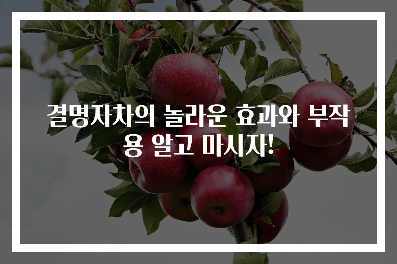 결명자차의 놀라운 효과와 부작용 알고 마시자!
