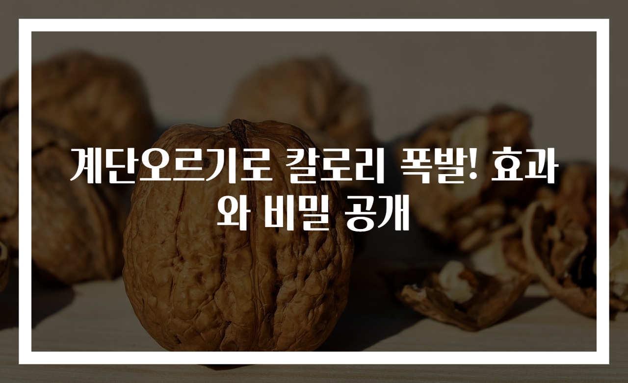 계단오르기로 칼로리 폭발! 효과와 비밀 공개
