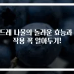 곤드레 나물의 놀라운 효능과 부작용 꼭 알아두기!