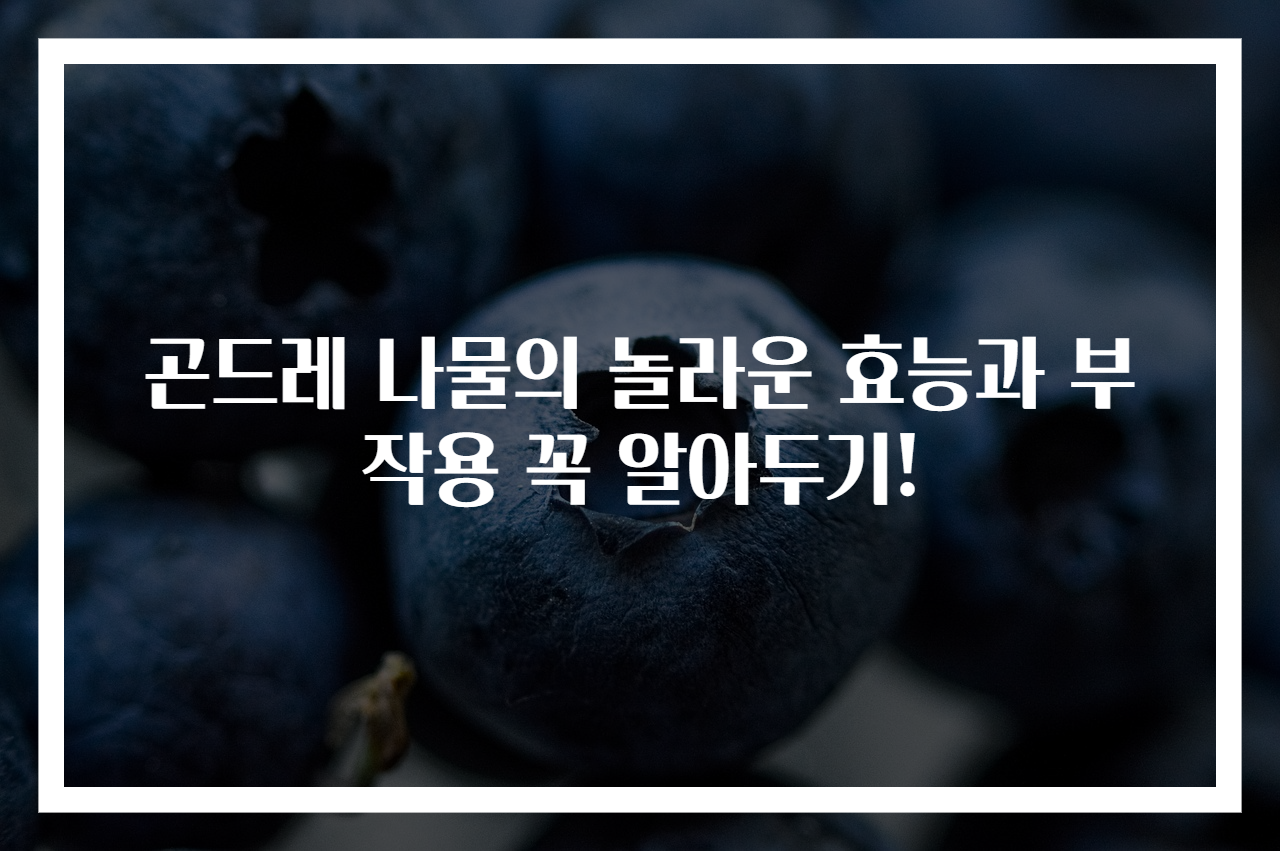 곤드레 나물의 놀라운 효능과 부작용 꼭 알아두기!