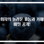 국화차의 놀라운 효능과 카페인 비밀 공개!