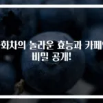 국화차의 놀라운 효능과 카페인 비밀 공개!