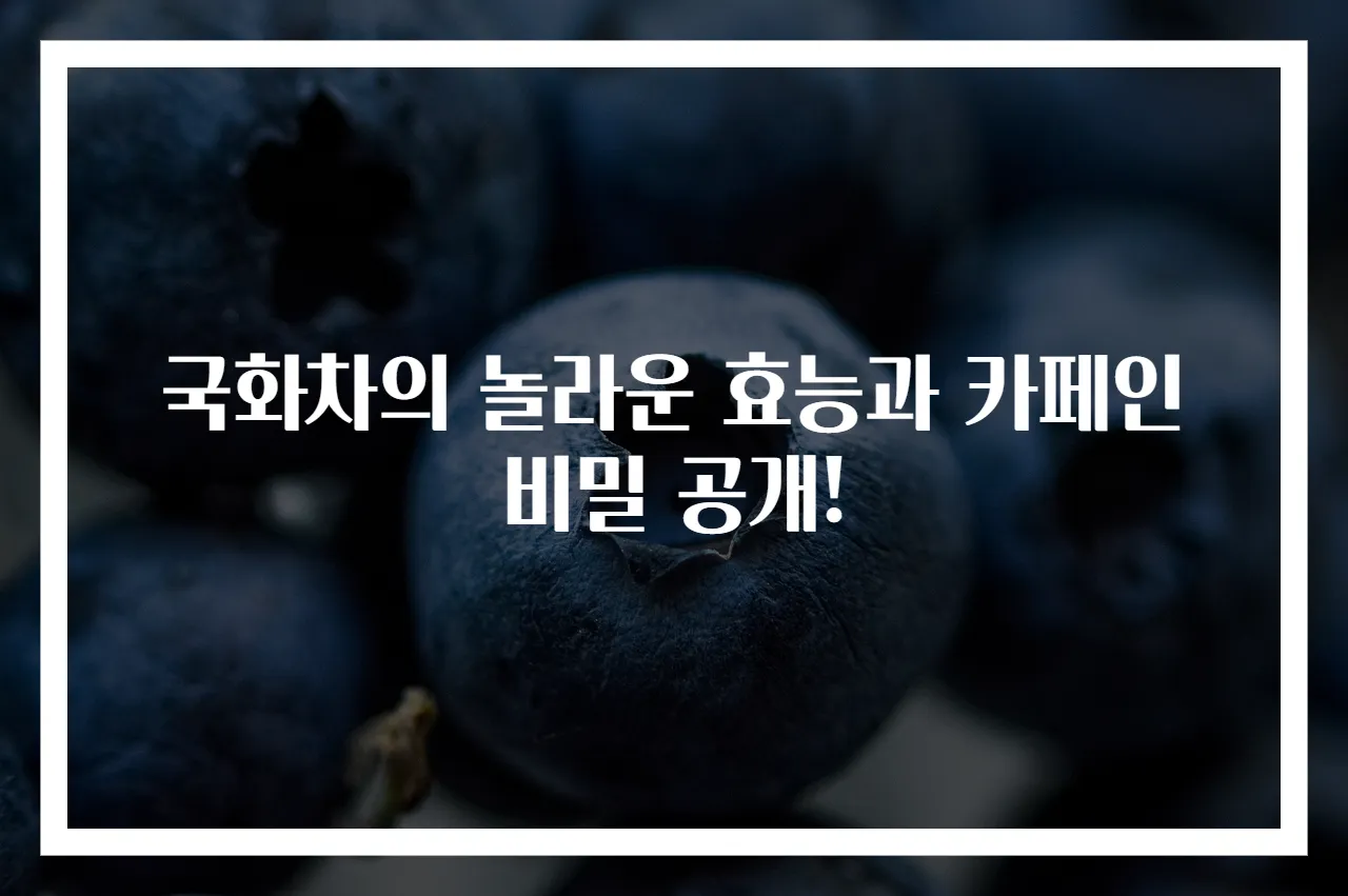 국화차의 놀라운 효능과 카페인 비밀 공개!