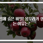 귓볼에 숨은 비밀! 몽우리가 생기는 이유는?