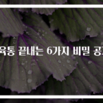 근육통 끝내는 6가지 비밀 공개!
