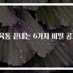 근육통 끝내는 6가지 비밀 공개!