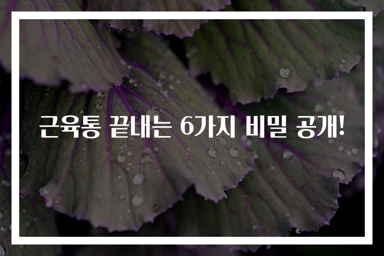근육통 끝내는 6가지 비밀 공개!
