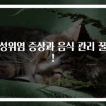 급성위염 증상과 음식 관리 꿀팁!