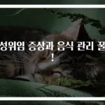 급성위염 증상과 음식 관리 꿀팁!